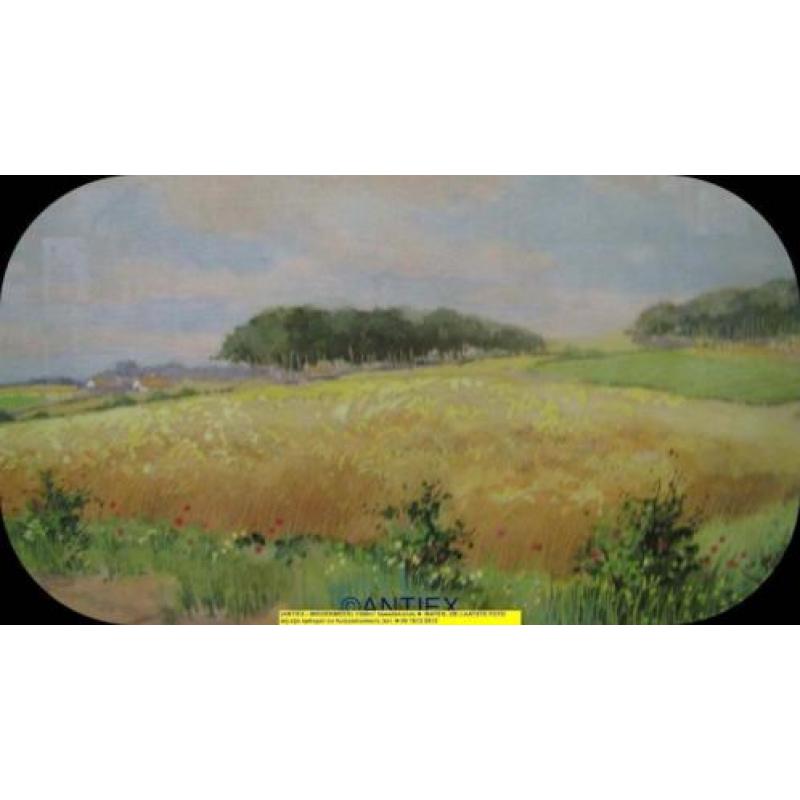 9573 - aquarel in lijst landschap met berken - € 45