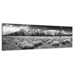 Diverse Canvas Panorama's - slechts EUR 49!