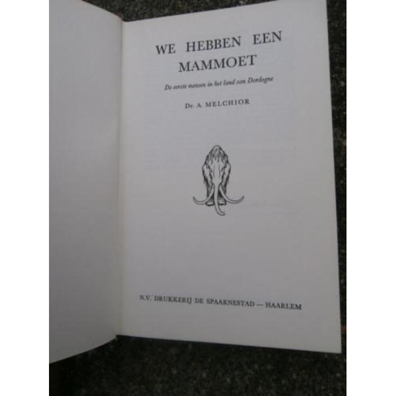 We hebben een Mammoet