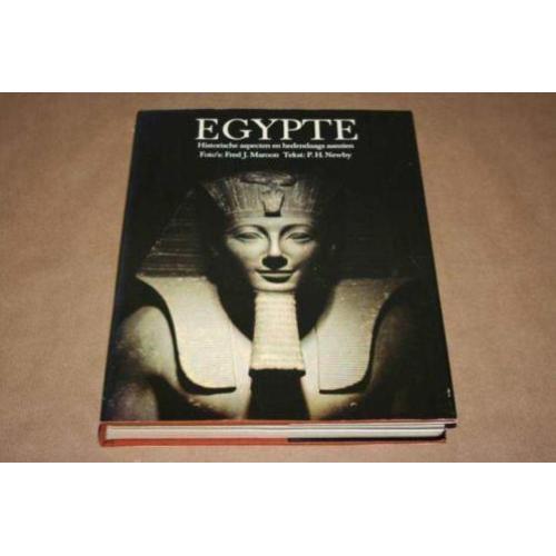 Dikke pil - Egypte - Historische aspecten en hedendaags