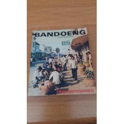 7 boeken hein buitenweg indie /indonesie