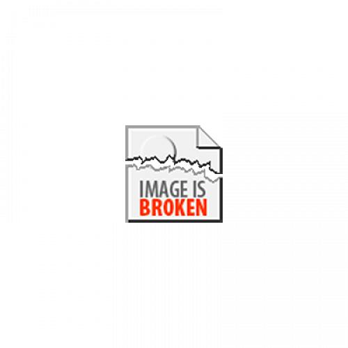 Andalusier