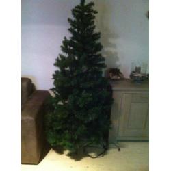 kerstboom triumpf tree hoogte 2mtr met 200 lampjes