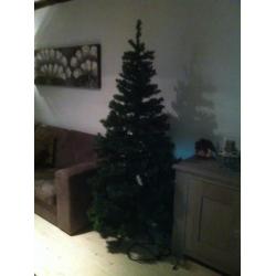 kerstboom triumpf tree hoogte 2mtr met 200 lampjes