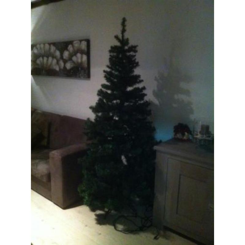kerstboom triumpf tree hoogte 2mtr met 200 lampjes