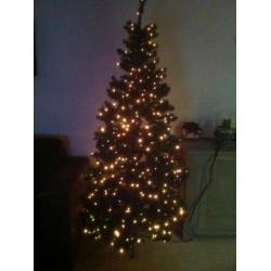 kerstboom triumpf tree hoogte 2mtr met 200 lampjes