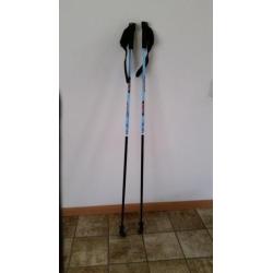 nordic walking sticks