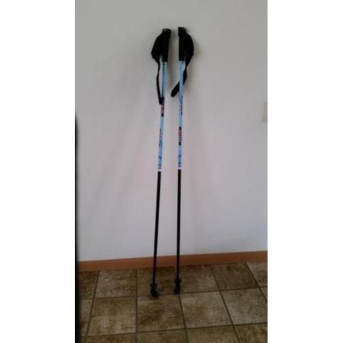 nordic walking sticks