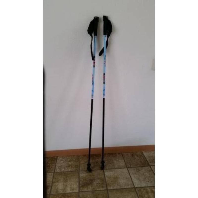 nordic walking sticks
