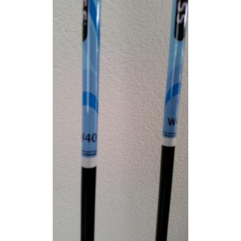 nordic walking sticks