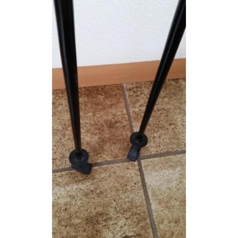 nordic walking sticks