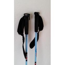 nordic walking sticks