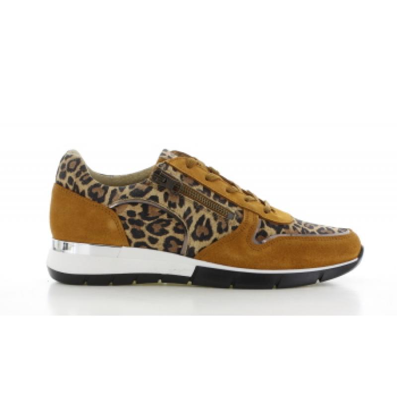Bibob Sneaker Oranje Leopard Dames