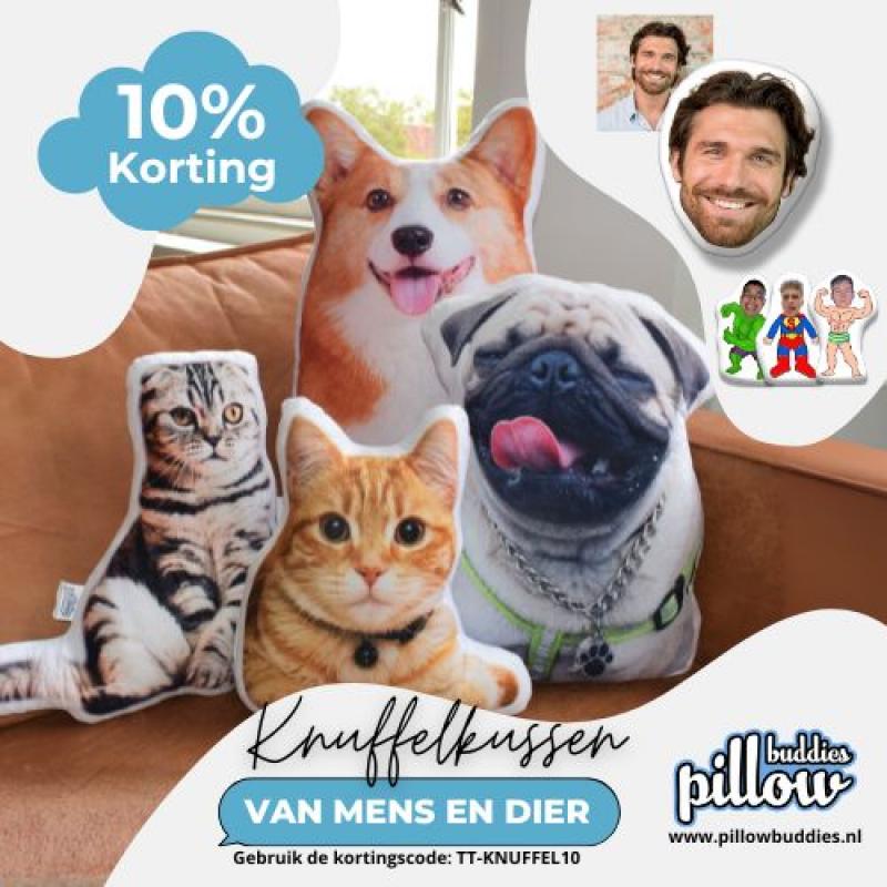 www.pillowbuddies.nl