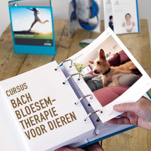 Bach bloesemtherapie voor dieren