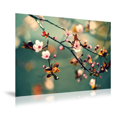 Fotoafdruk Mat 70x70