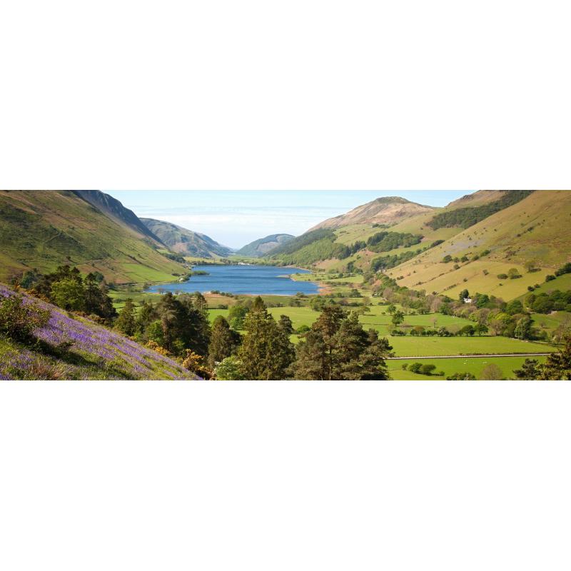 The Cambrian Way